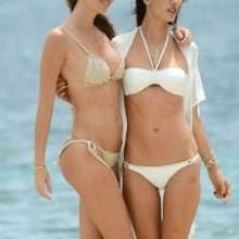 Alessandra Ambrosio en bikini