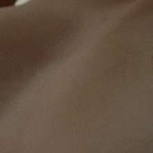 Dakota Johnson nue dans 50 nuances de gris