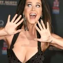 Katy Perry, décolleté et sous la jupe