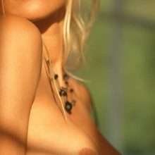 Pamela Anderson nue, le best of Playboy