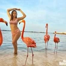 Myla Dalbesio exhibe ses gros seins pour Sports Illustrated 2018