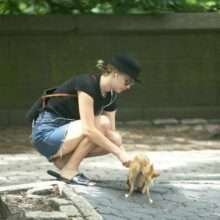 Jennifer Lawrence promène son chien en mini-jupe