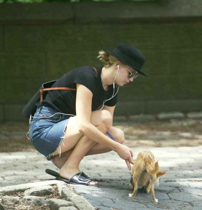 Jennifer Lawrence promène son chien en mini-jupe