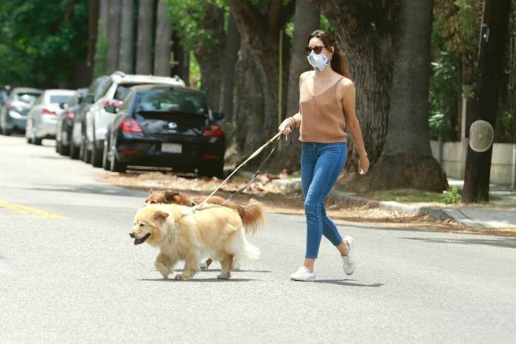 Aubrey Plaza balade ses chiens sans soutien-gorge