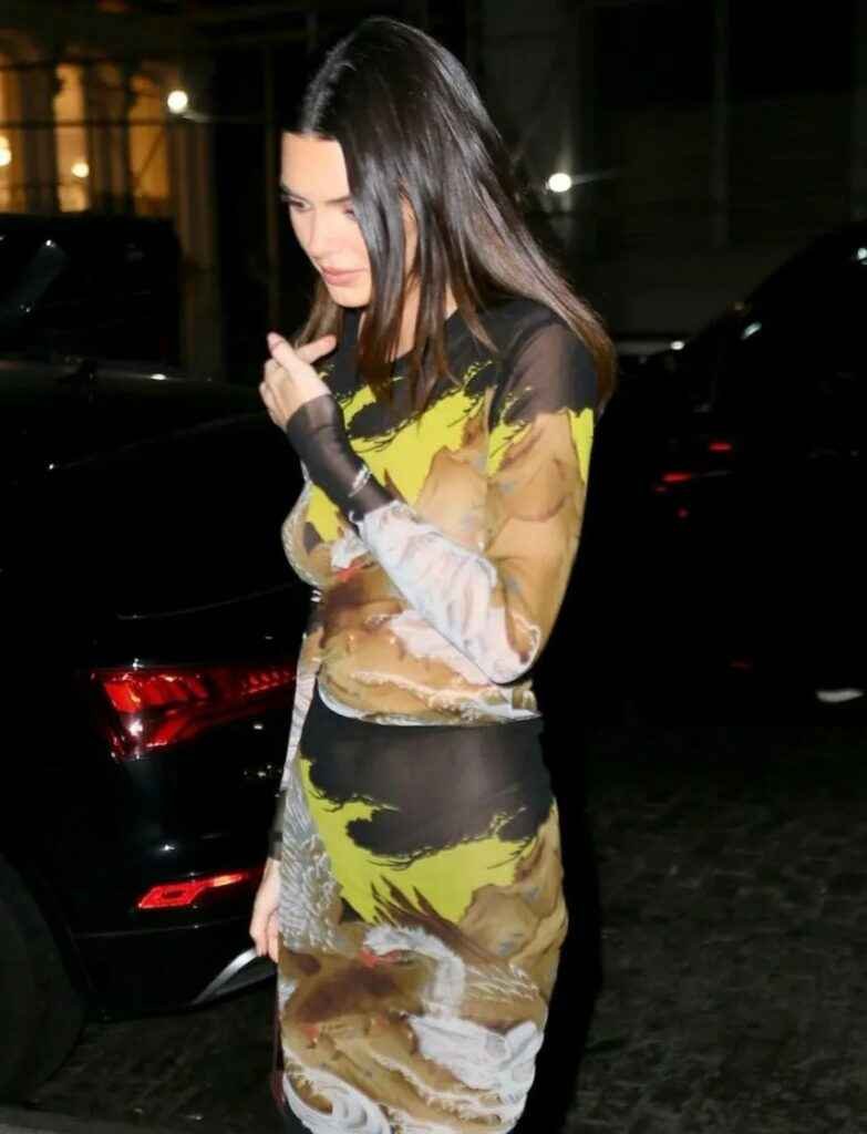 On voit les seins de Kendall Jenner à New-York