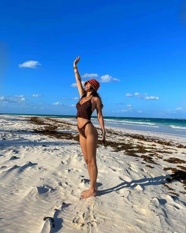 Bella Hadid en bikini marron